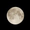 moon19741234